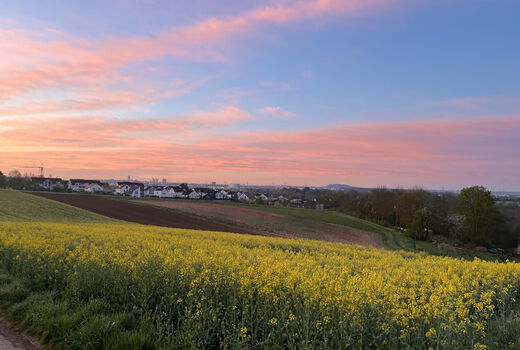 Morgenstimmung in Bietigheim