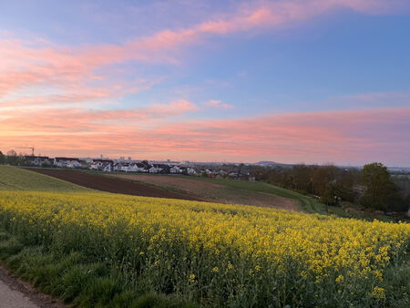 Morgenstimmung in Bietigheim